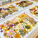 Pressed Edible Flowers - Seasonal Half Sheet
