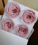 Floristry - Preserved Rose Head - Nude Pink (1 each)