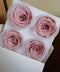 Floristry - Preserved Rose Head - Nude Pink (1 each)