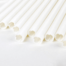 Small White Poly Dowels - 12 inch length