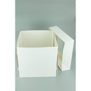 Cake Box TALL 10 inch - (12 inches high)