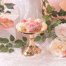 Cake Stand - Gold Classic Gloss Cake Stand - 20cm / 8 inches