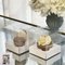 Cupcake Boxes - Single Hold Clear Cupcake Boxes - Pack of 4 - 9cm
