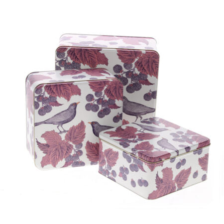 Cake Storage Tin Blackbird Bramble 22cm (Medium) Square by