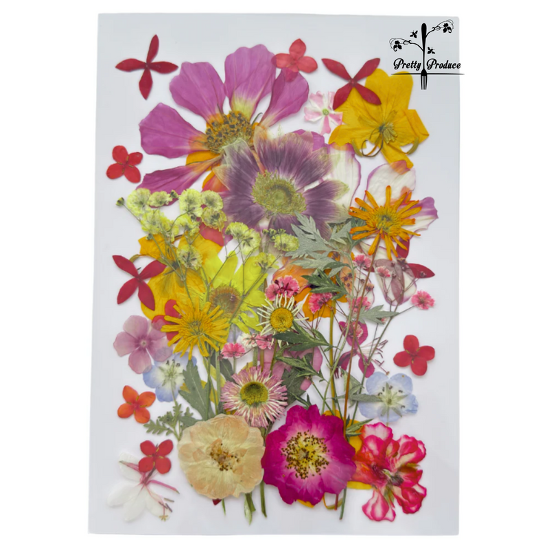 Pressed Edible Flowers - Cupcake/Cookie Size - A5 Card