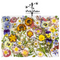 Pressed Edible Flowers - Seasonal Half Sheet