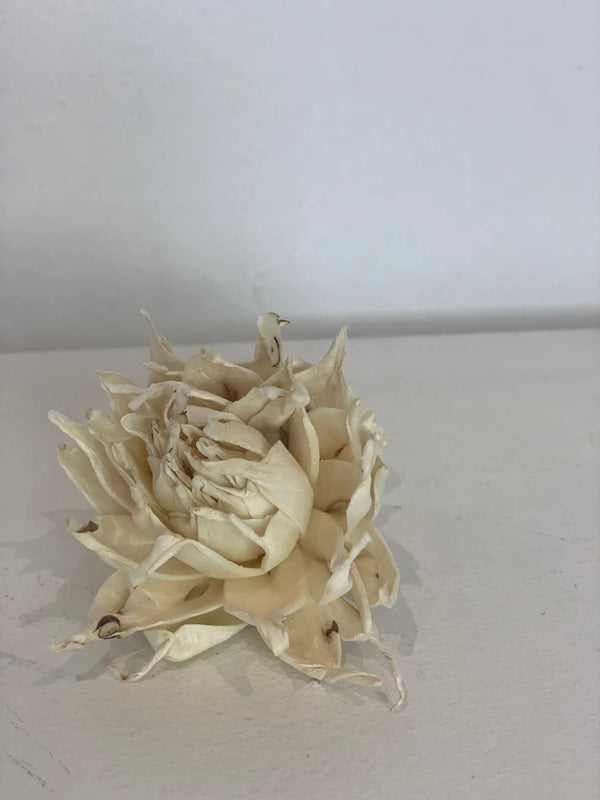 Floristry - Sola Wood Flower - Chinese Peony
