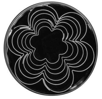 Cutters - 6 Petal Flower Cutters - 6 Pc Set (Tin)