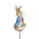 Cupcake Kit - Peter Rabbit ™ (16 cases/12 toppers)