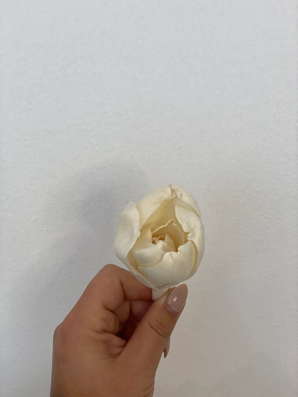 Floristry - Sola Wood Flower - Tulip