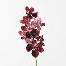 Floristry - Vanda Orchid in Burgundy - Artificial Flowers