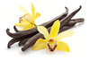 Vanilla - Vanilla Bean Pods 10pk - Queen Professional