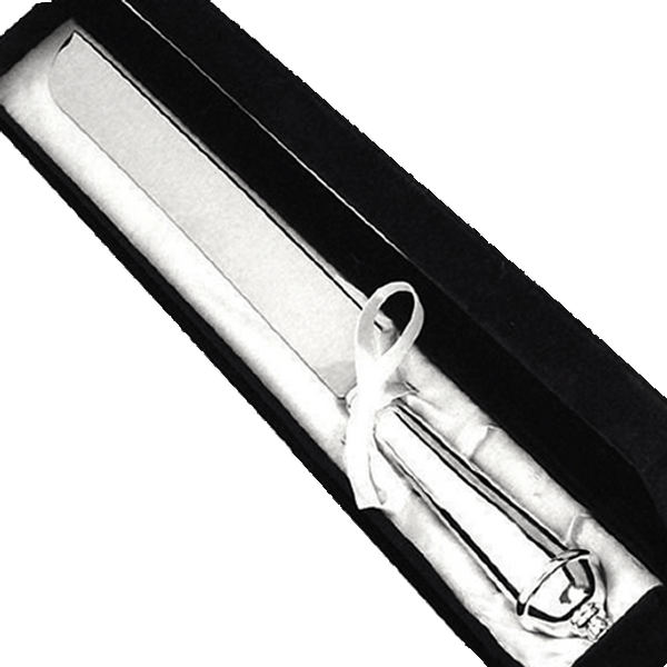 Cake Knife - Copenhagen Silver Cake Knife in Gift Box