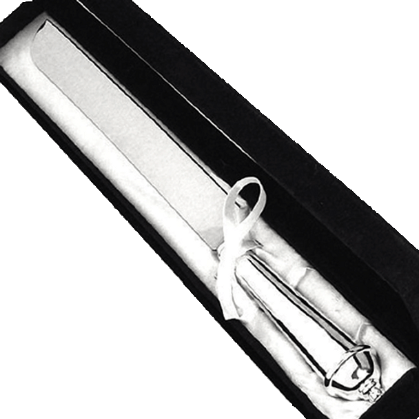 Cake Knife Copenhagen Silver Cake Knife in Gift Box Latorta
