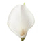 Floristry - Calla Lily Bouquet - Artificial Flowers