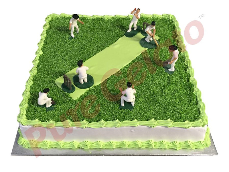 Cricket Players - Cake Decorating Kit