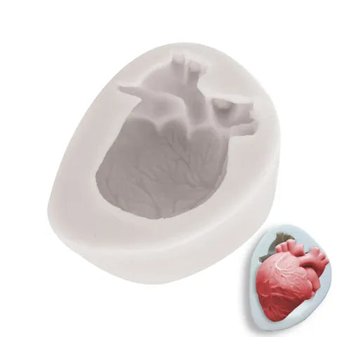Silicone Mould - Heart (Anatomical Organ / Medical / Halloween)