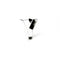 Cookie Cutter - Letter Y