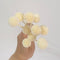 Floristry - Preserved Dried Billy Buttons - Champagne
