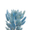 Floristry - Preserved Dried Bunny Tails - Light Blue