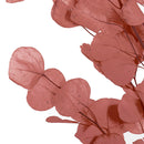 Floristry - Preserved Dried Apple Leaves - Dusty Pink