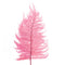 Floristry - Preserved Dried Leatherleaf Fern - Dusty Pink