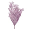 Floristry - Preserved Dried Ming Fern - Lilac Purple