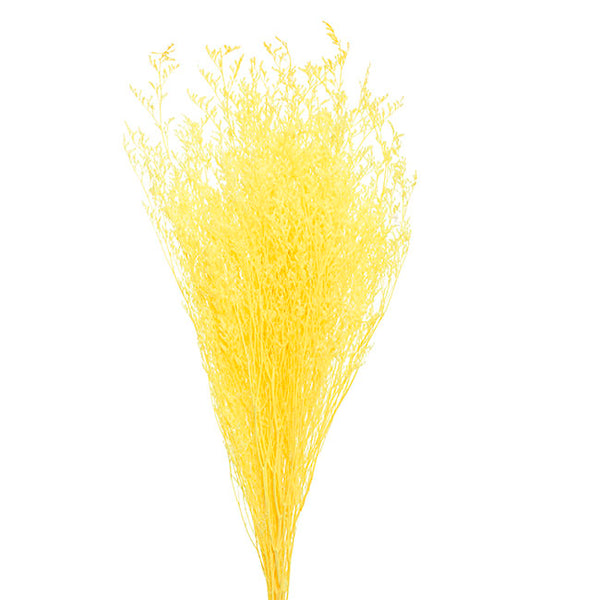 Floristry - Preserved Dried Sea Lavender - Yellow