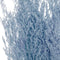 Floristry - Preserved Dried Sea Lavender - Light Blue