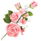 Sugar Flowers - Large Rose Spray - Pink 145mm