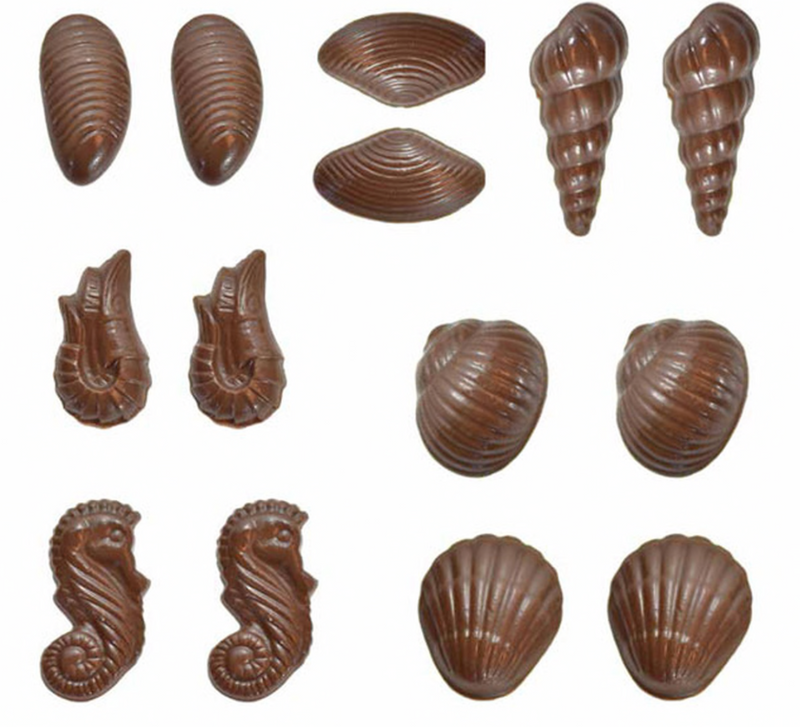 Chocolate Mould - Seashells 3D (with recipe card)