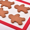 Gingerbread Biscuit Mix 1kg - Roberts