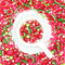 Sprinkle Mix - Watermelon - by Sprink'd
