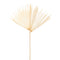 White - Sun Cut Palm Leaf Preserved Foliage