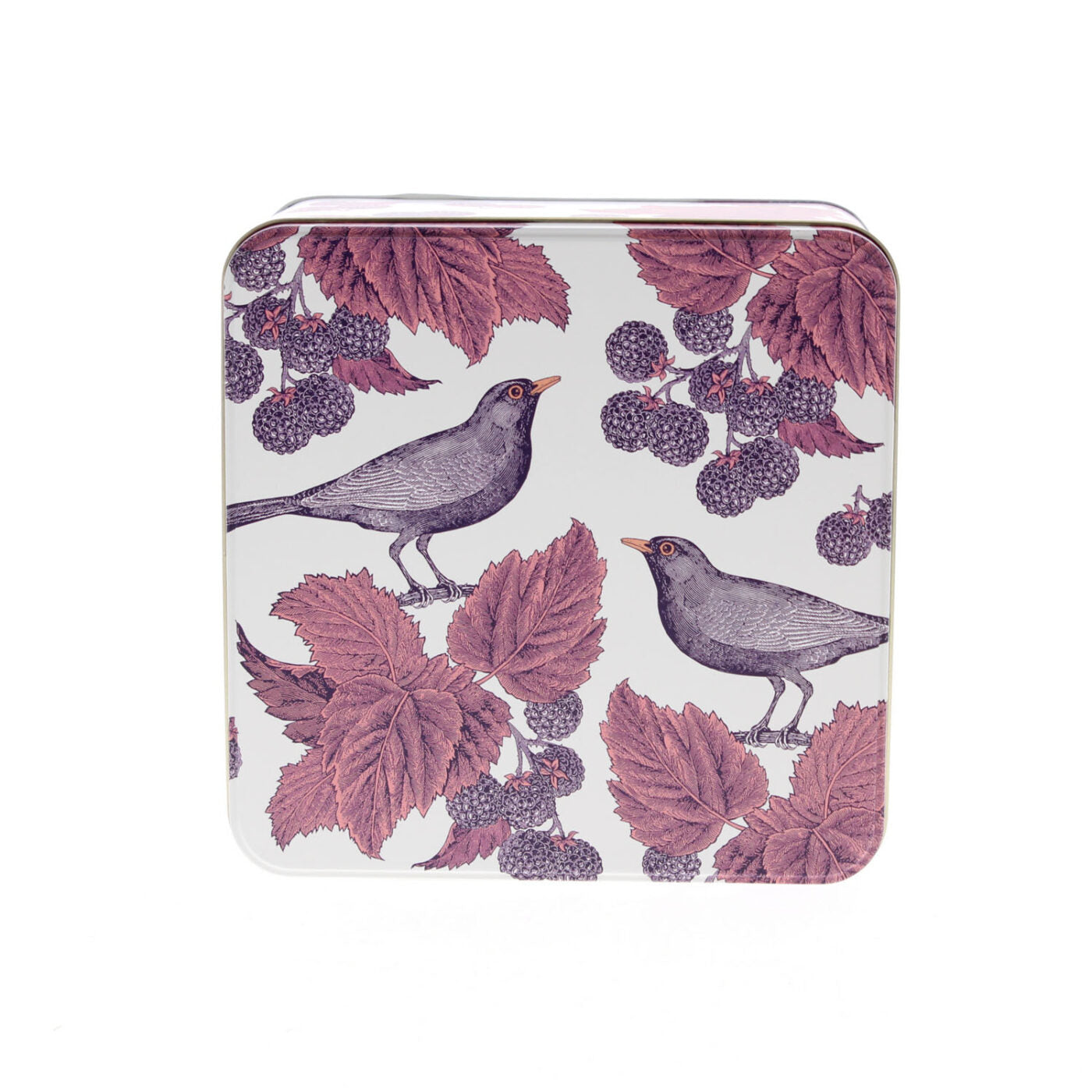 Cake Storage Tin Blackbird & Bramble 24cm (Large) Square by Thornback